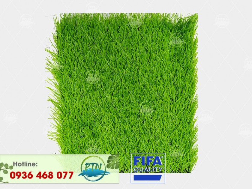 ptn-m18-840x630-2-5 Cỏ nhân tạo PTN-M18