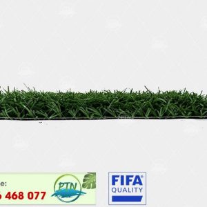 Cỏ nhân tạo PTN-M6 PRO