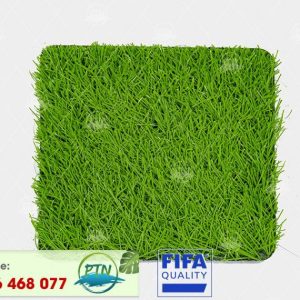 Cỏ nhân tạo PTN-M6 PRO