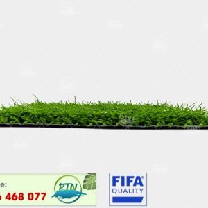 Cỏ nhân tạo PTN-M6 PRO