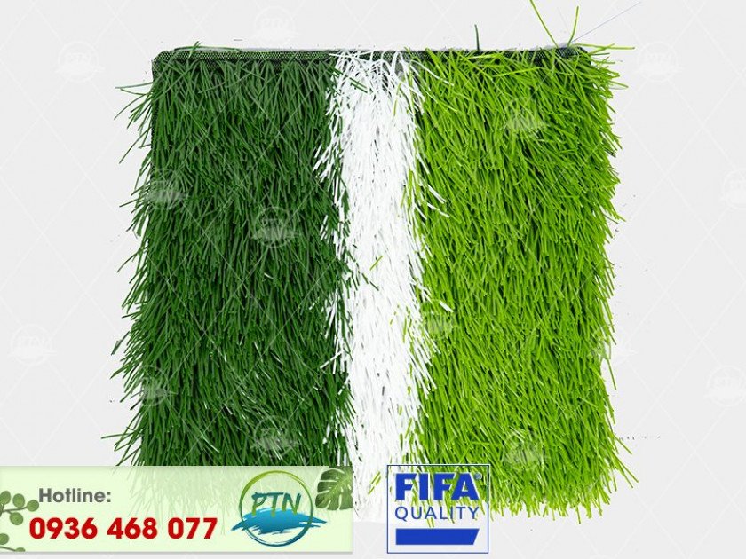 ptn-m8-840x630-1