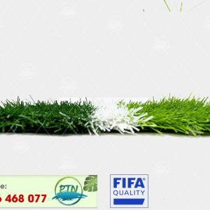 Cỏ nhân tạo PTN-M8