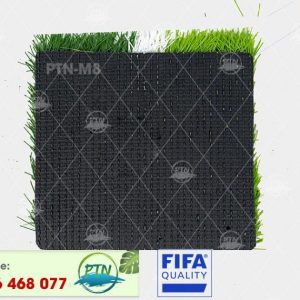 Cỏ nhân tạo PTN-M8