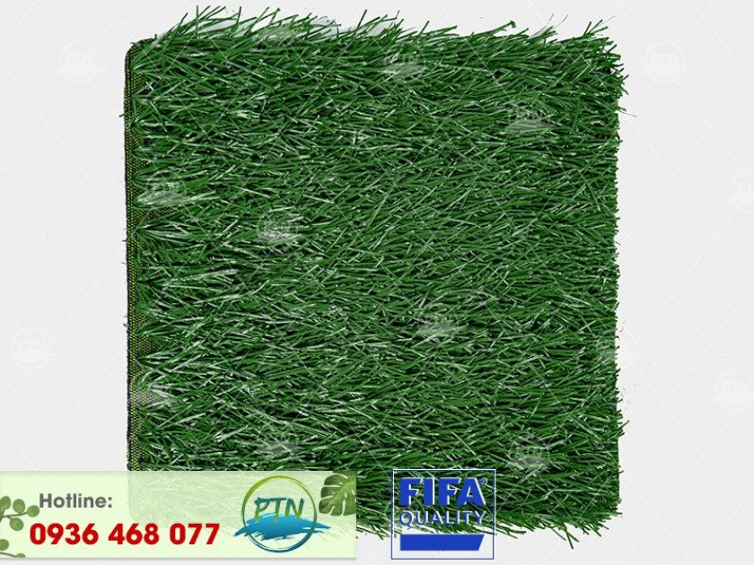 ptn-m8-pro-840x630-1