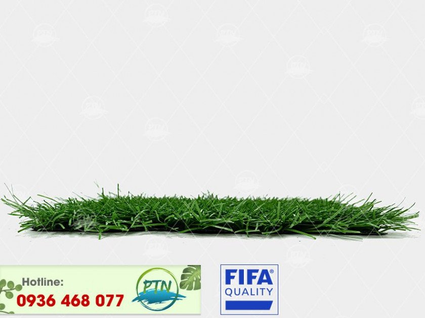 ptn-m84-840x630-2-1 Cỏ nhân tạo PTN-M84