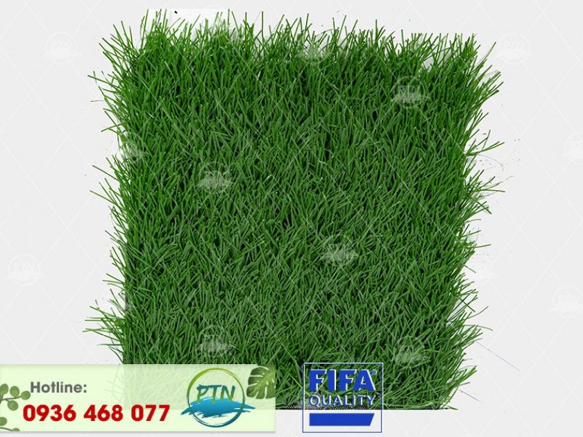 ptn-m84-840x630-2-2 Cỏ nhân tạo PTN-M84