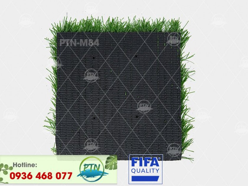 ptn-m84-840x630-2-3 Cỏ nhân tạo PTN-M84