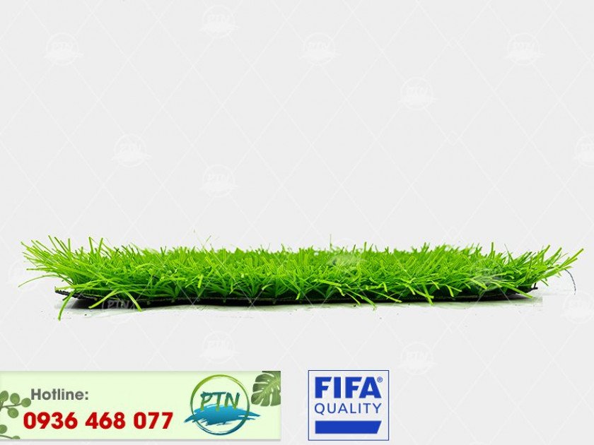 ptn-m84-840x630-2-5 Cỏ nhân tạo PTN-M84