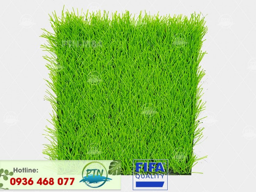 ptn-m84-cr-840x630-1 Cỏ nhân tạo PTN-M84