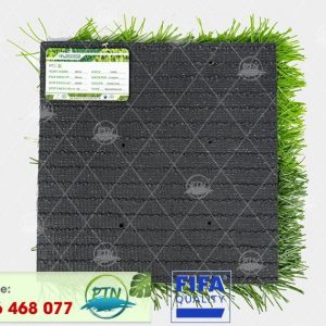 Cỏ nhân tạo PTN-MSX50